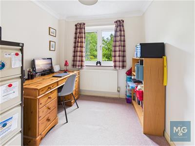 Picture 22